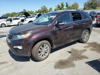  Salvage Kia Sorento