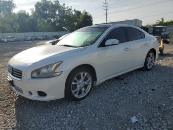  Salvage Nissan Maxima