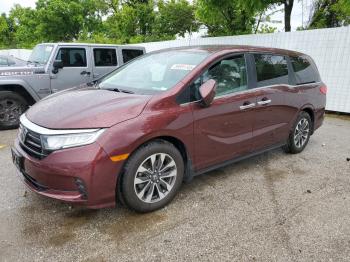  Salvage Honda Odyssey