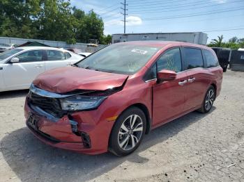  Salvage Honda Odyssey