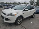 Ford Escape Titanium Image 1