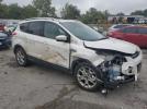 Ford Escape Titanium Image 5