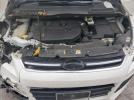 Ford Escape Titanium Image 7