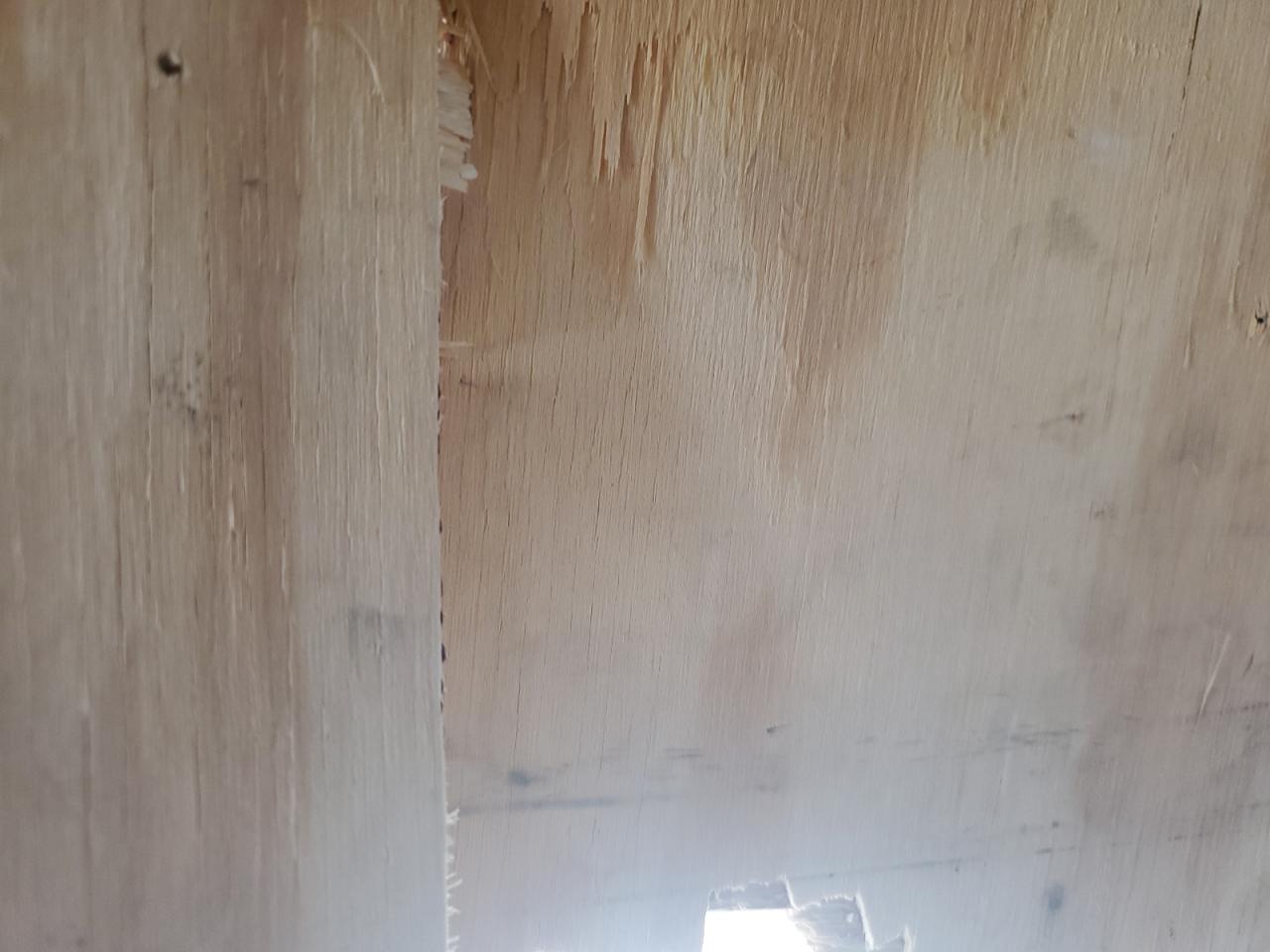 Eagle Cargo Trailers Other Image 8