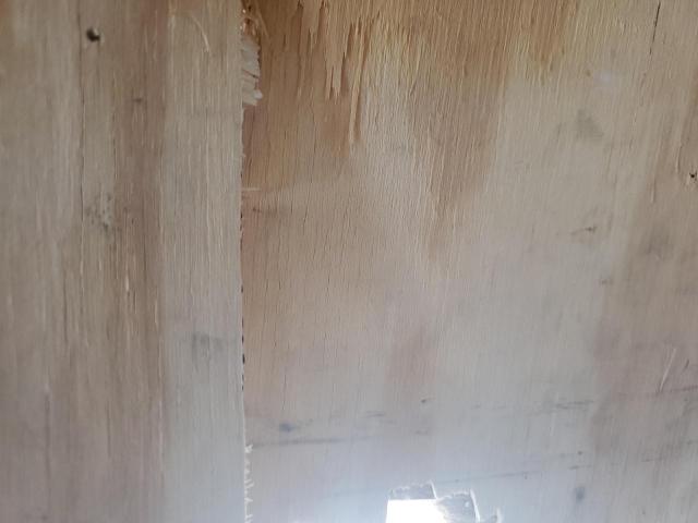 Eagle Cargo Trailers Other Image 8