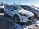 Ford Escape Se Image 13