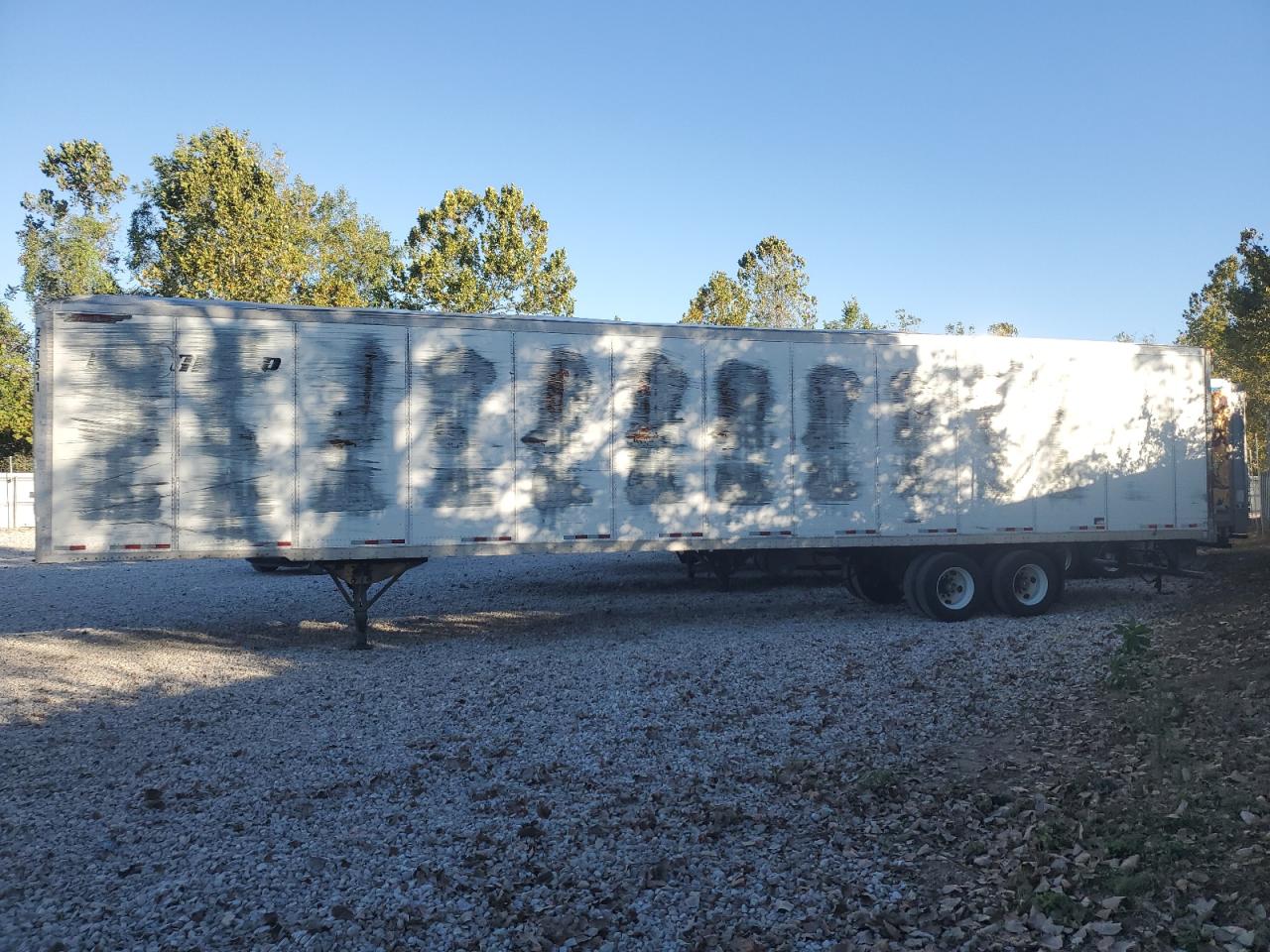 Great Dane Other Image 10