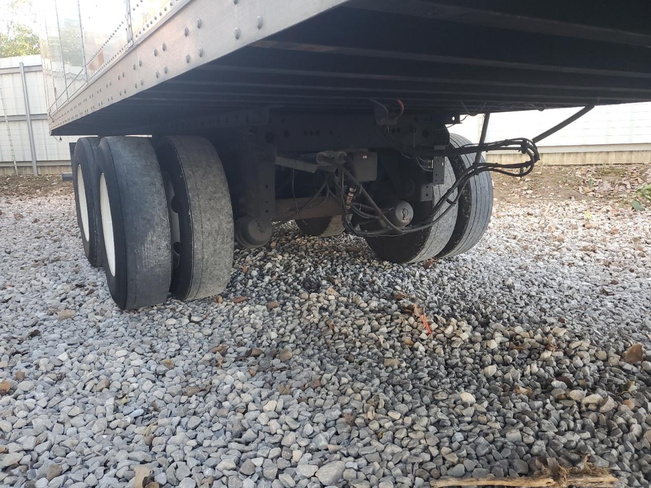 Great Dane Other Image 8