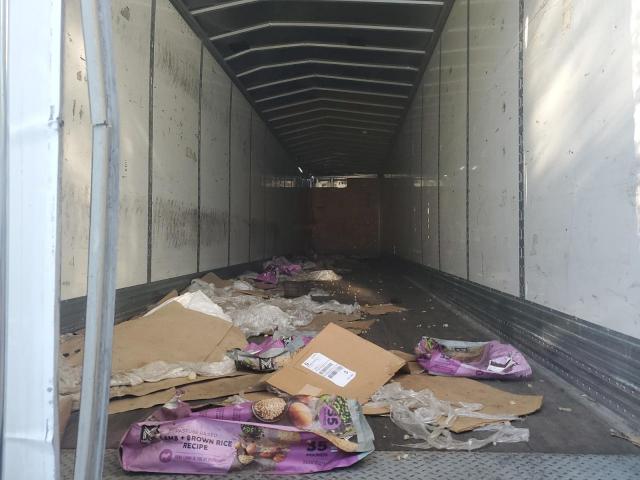 Great Dane Other Image 4