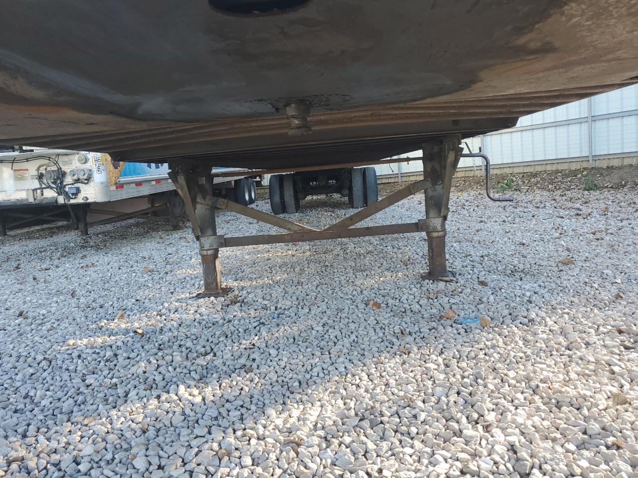 Great Dane Other Image 9