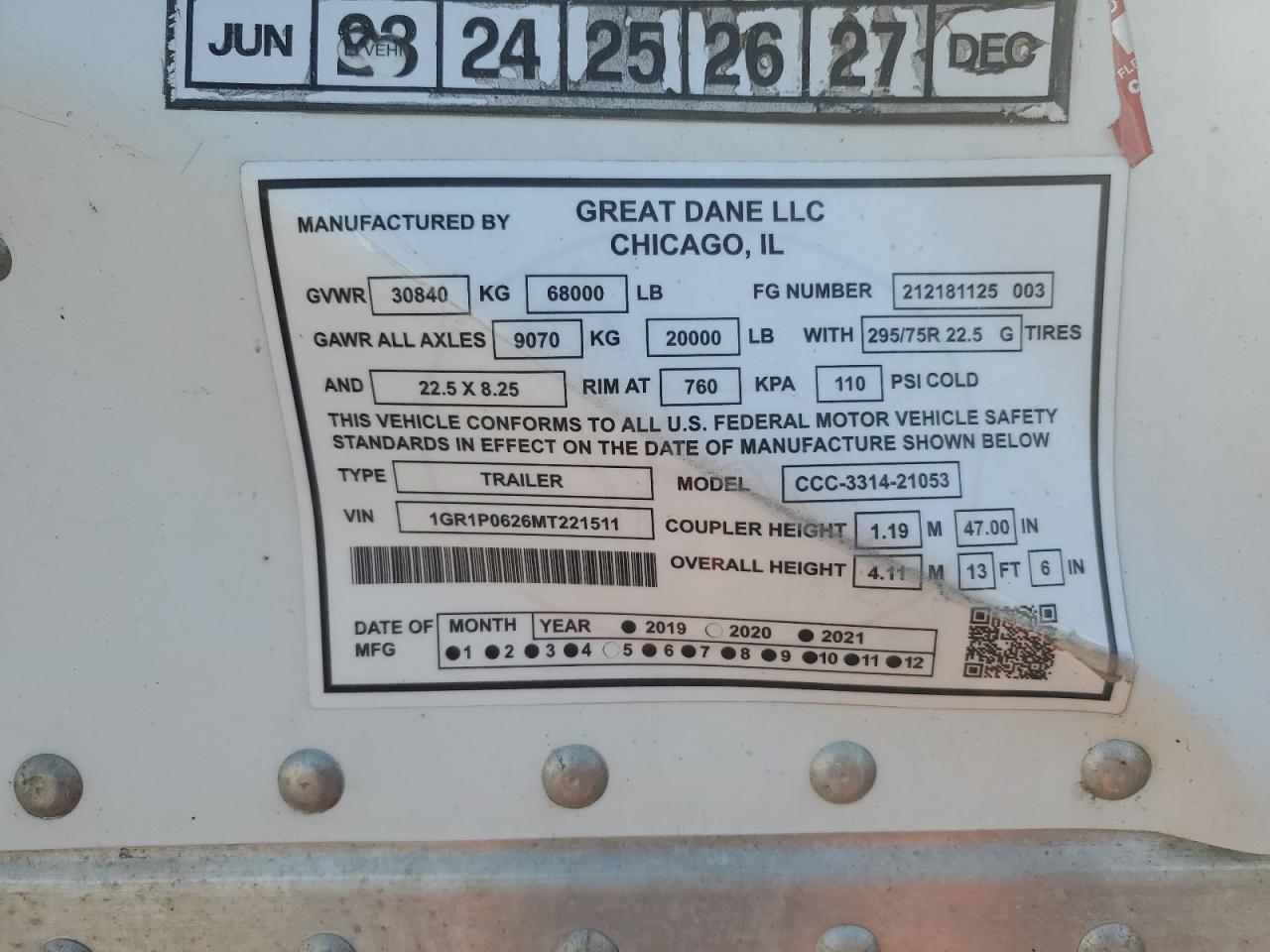 Great Dane Other Image 6