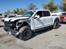 Ford F-150 Raptor Image 1