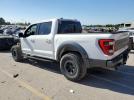 Ford F-150 Raptor Image 2