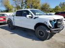Ford F-150 Raptor Image 10