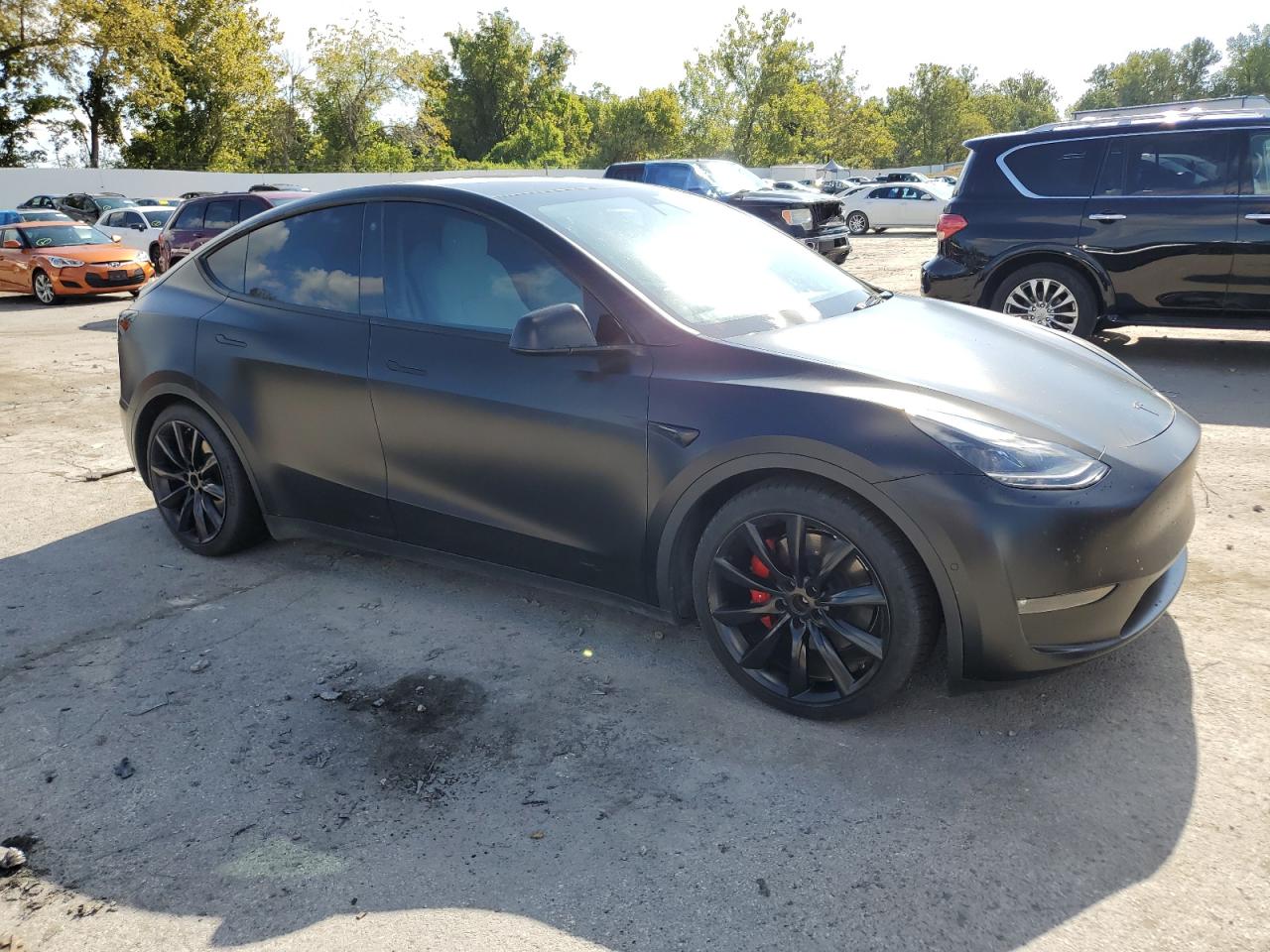Tesla Model Y Image 5