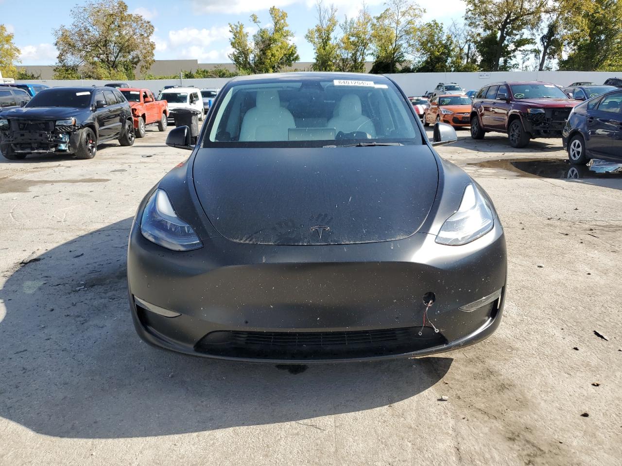 Tesla Model Y Image 8