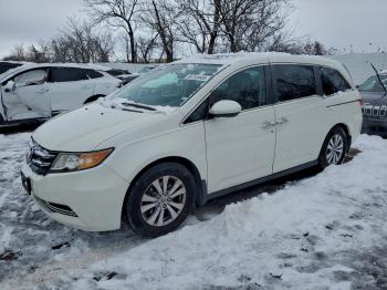  Salvage Honda Odyssey