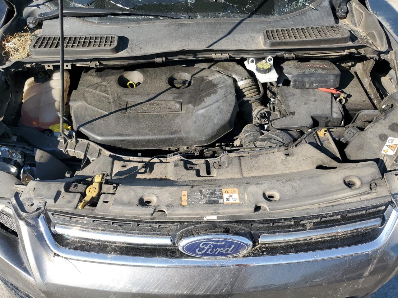 Ford Escape Titanium Image 12