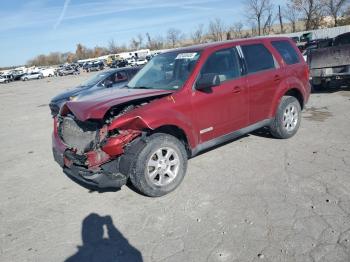  Salvage Mazda Tribute