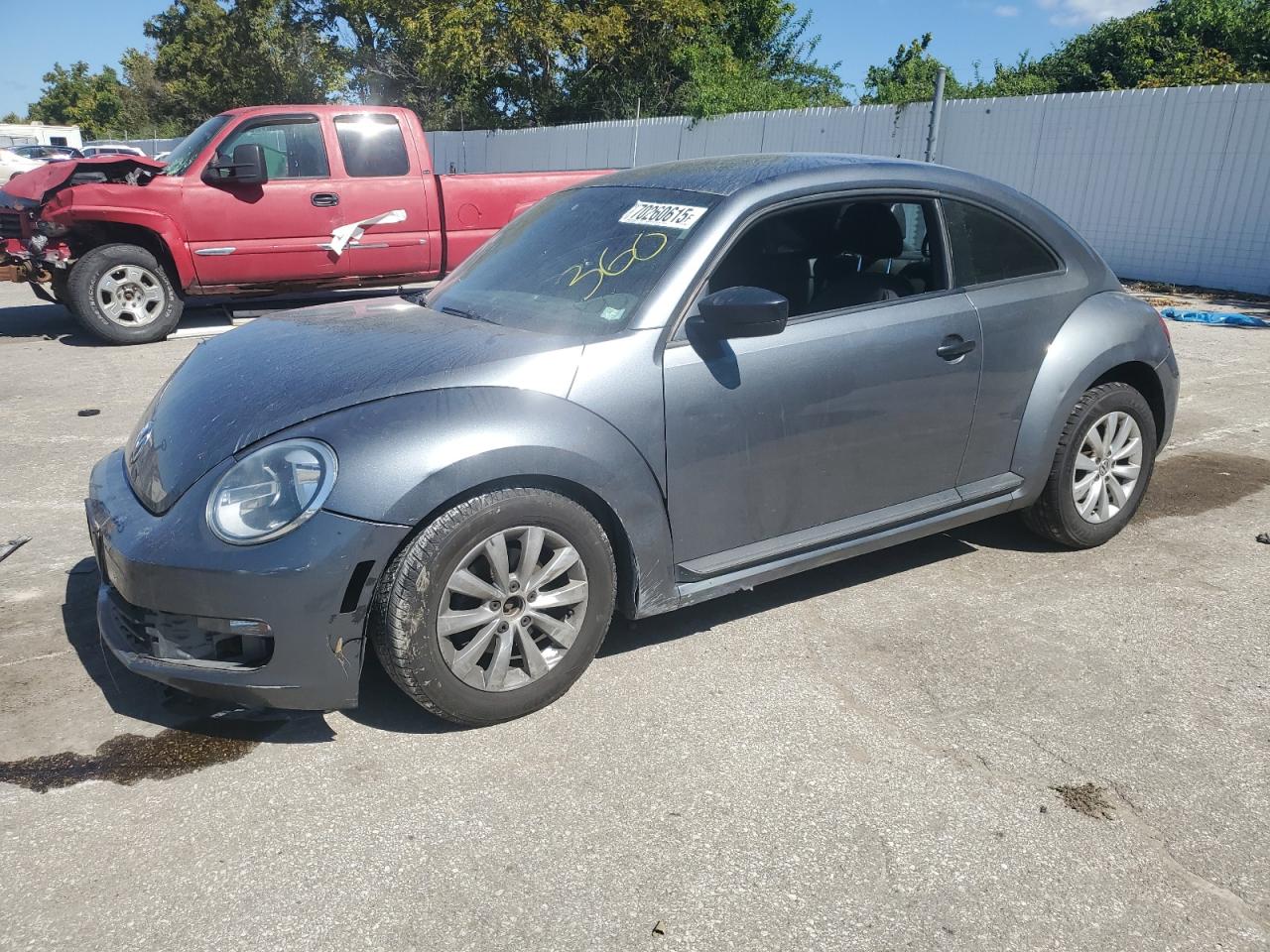 Volkswagen Beetle Image 1