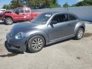 Volkswagen Beetle Image 1