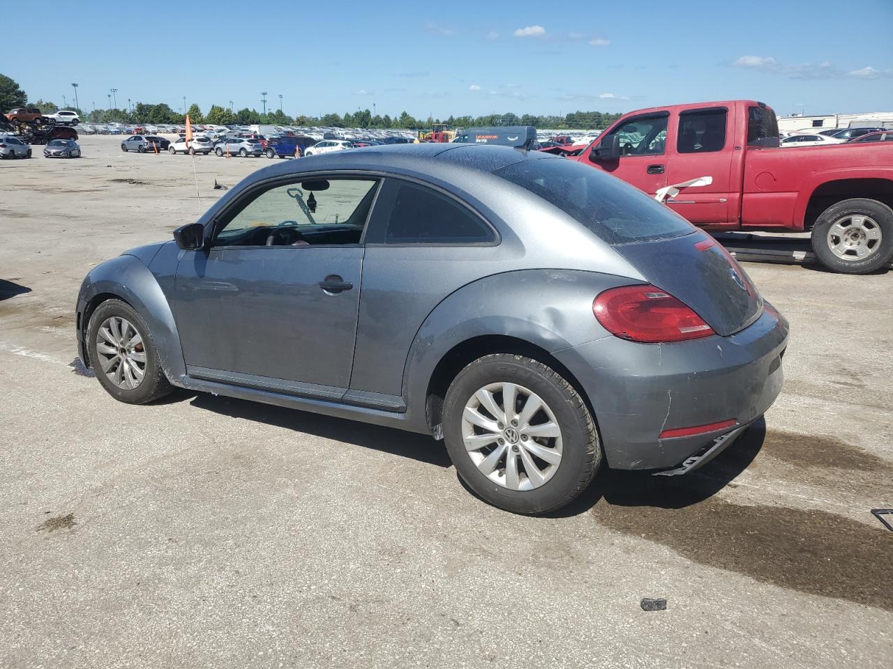 Volkswagen Beetle Image 4