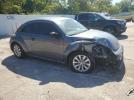 Volkswagen Beetle Image 5