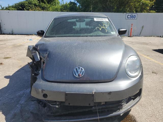 Volkswagen Beetle Image 9