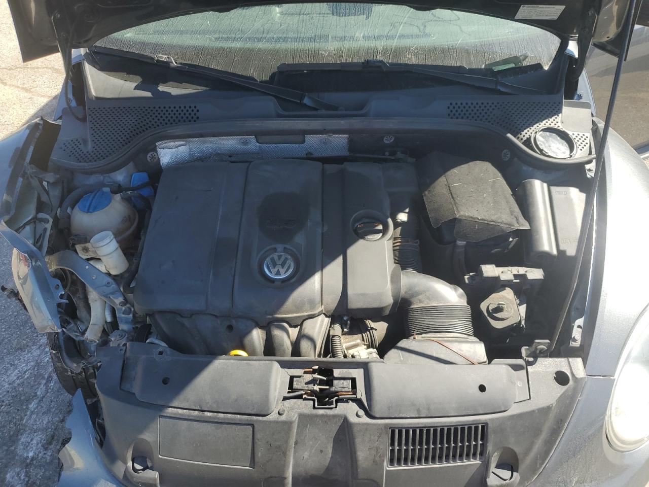 Volkswagen Beetle Image 11