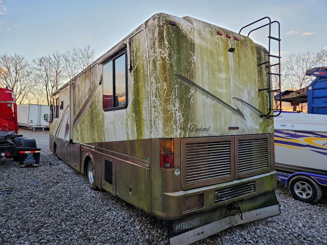 Roadmaster Dyanaster Image 3