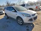 Ford Escape Se Image 9