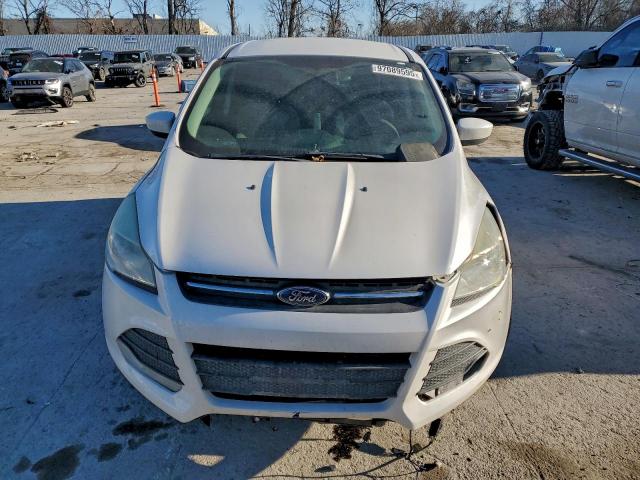 Ford Escape Se Image 5