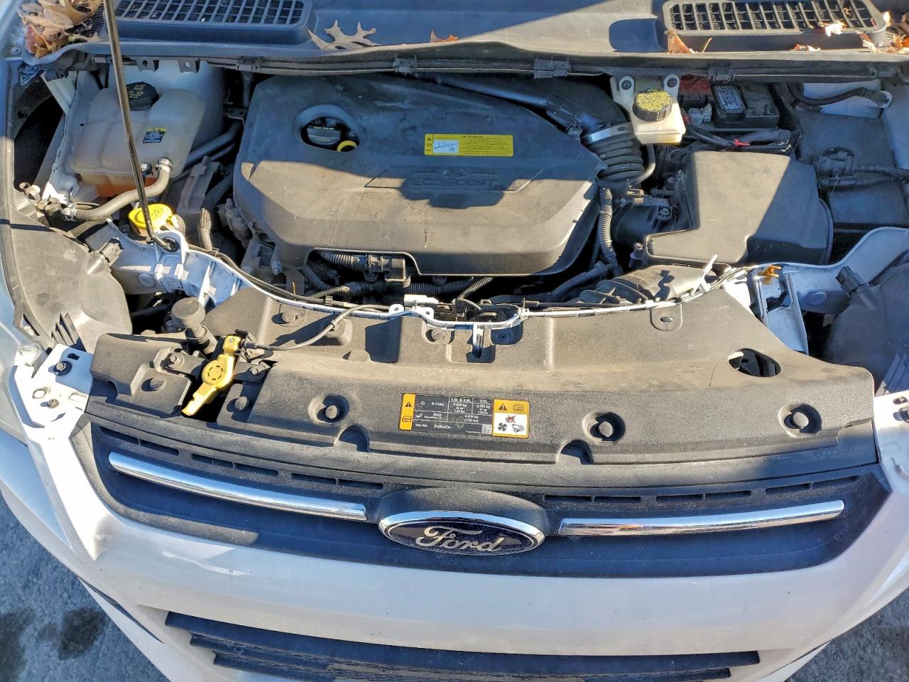 Ford Escape Se Image 7