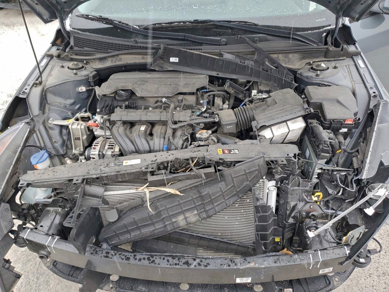 Hyundai ELANTRA Sel Image 5