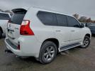 Lexus Gx 460 Premium Image 2