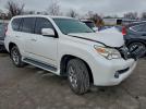 Lexus Gx 460 Premium Image 3