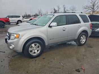  Salvage Ford Escape